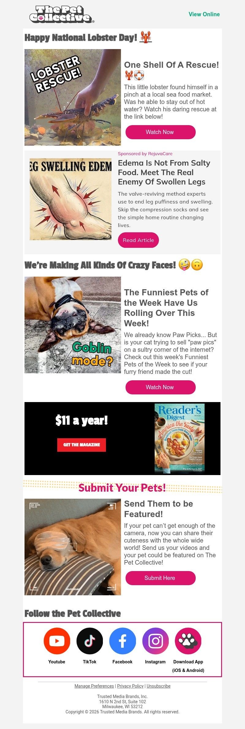 Screenshot of email with subject /media/emails/5517299a-4733-4f50-b7e0-bdcccfe1b782.jpg