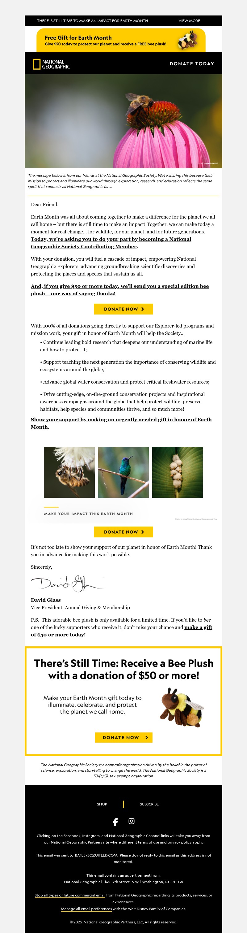 Screenshot of email with subject /media/emails/555ea3c6-d362-4444-bbed-833608bd6b97.jpg