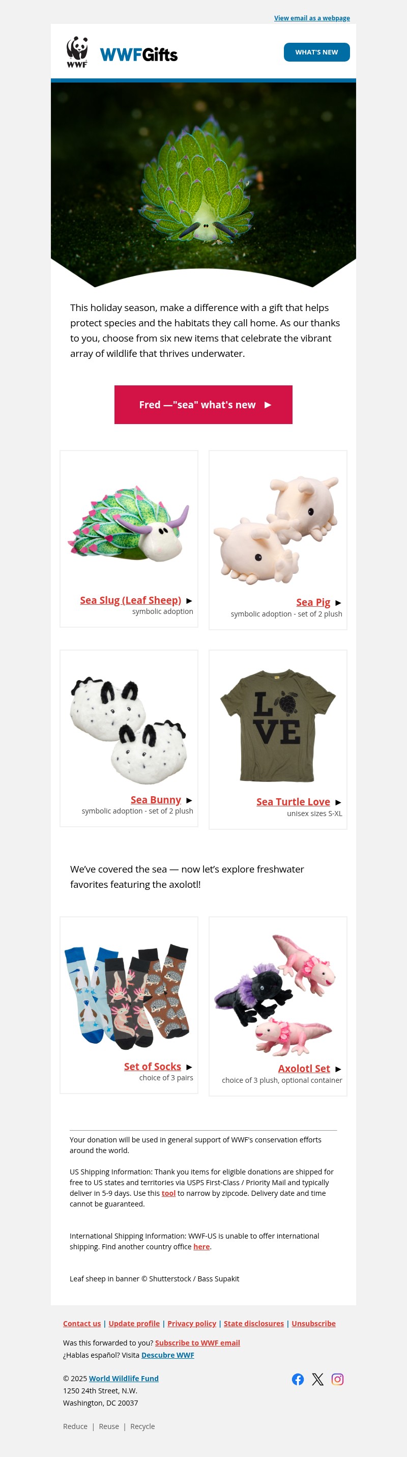 Screenshot of email with subject /media/emails/5591d0fd-fafa-4bc0-9f50-90887b3f0b73.jpg