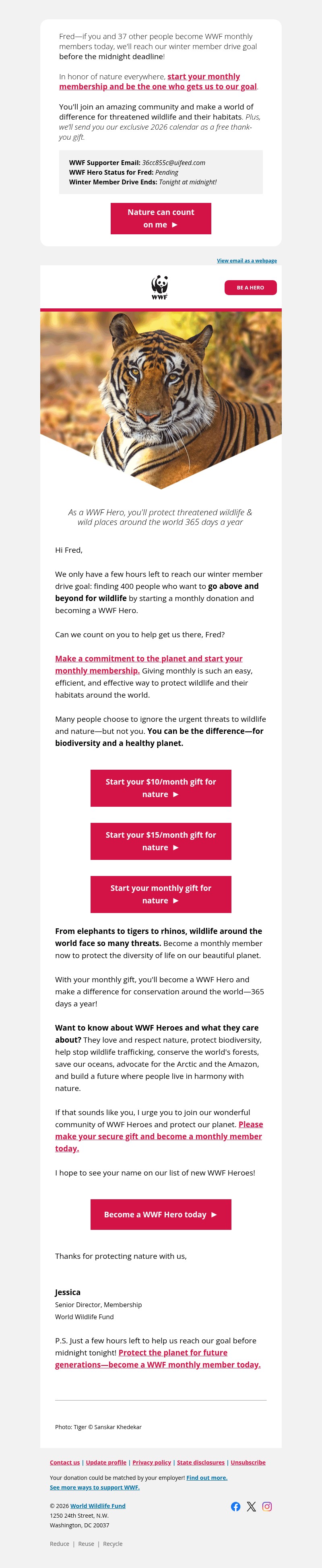 Screenshot of email with subject /media/emails/579d106c-e0cd-46a8-8f8d-622745af7eb7.jpg