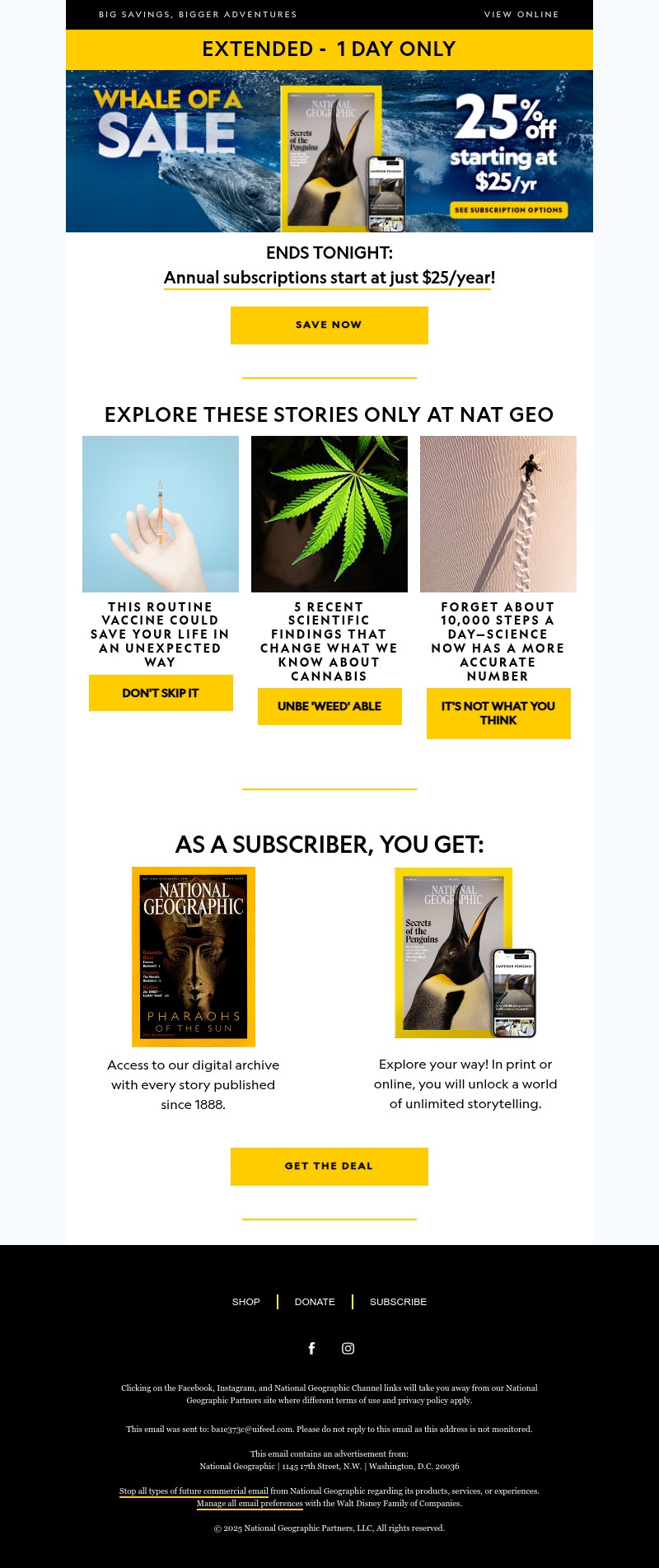 Screenshot of email with subject /media/emails/5810112e-c703-4329-a35d-c43199f98033.jpg