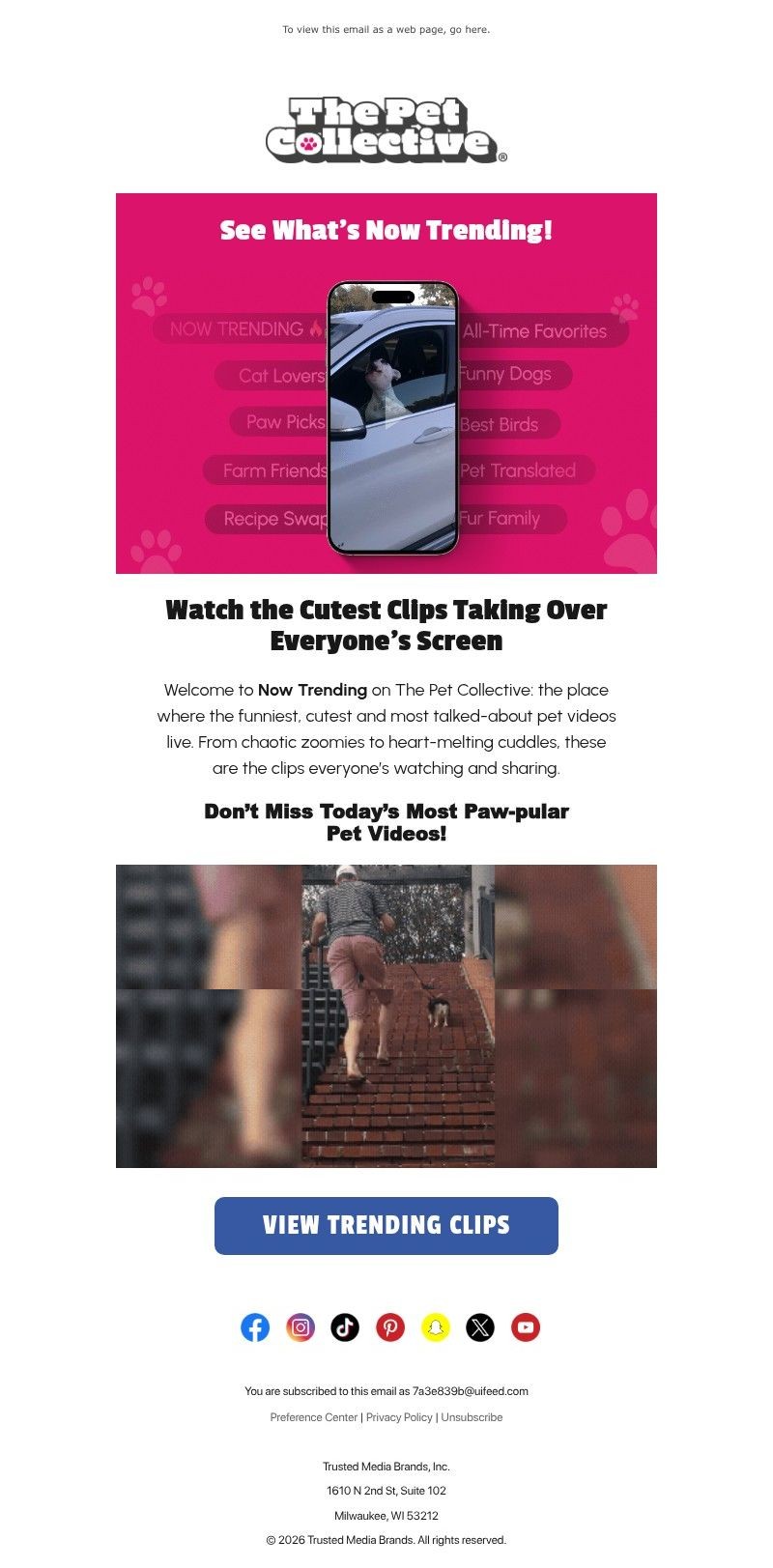 Screenshot of email with subject /media/emails/58c8e77a-6eb6-45de-b0b5-4b1c0b069362.jpg