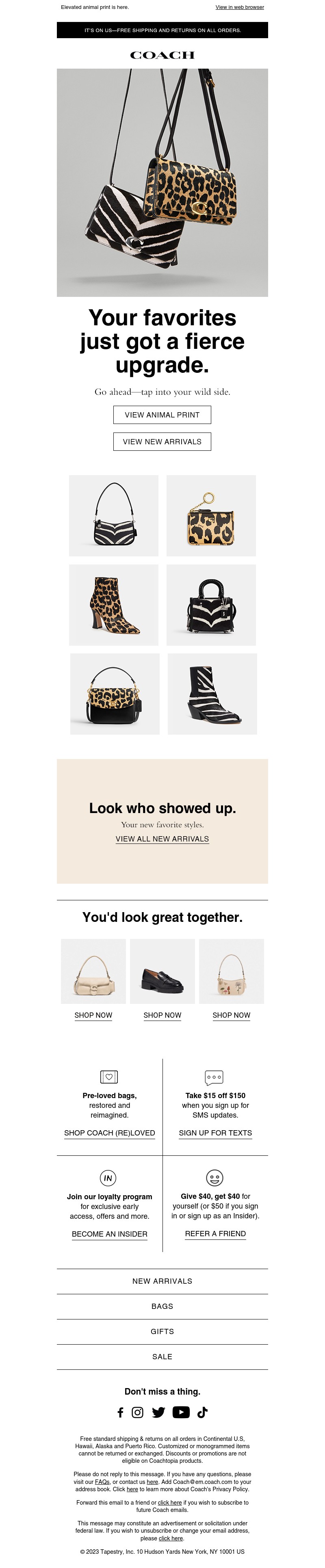 Screenshot of email with subject /media/emails/5907e733-ff4b-4edc-b554-b427b0c5c279.jpg