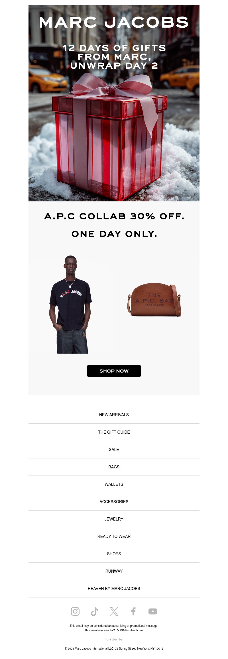 Screenshot of email with subject /media/emails/590851e8-70c4-4719-bd97-fdf854968f44.jpg