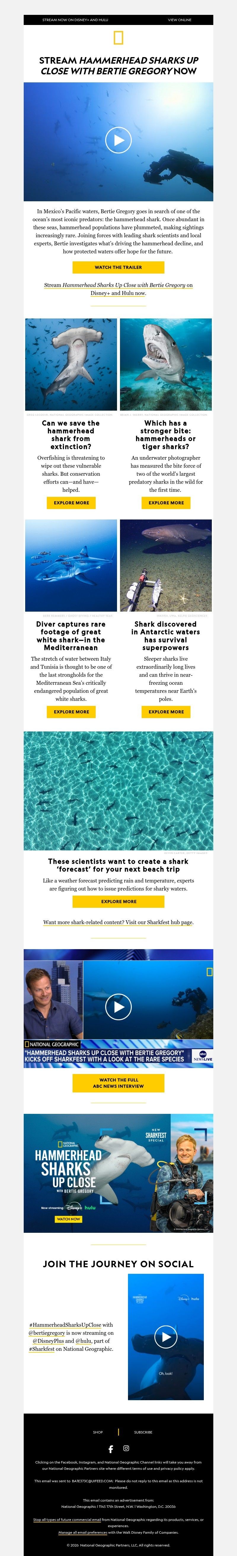Screenshot of email with subject /media/emails/59277ec8-b81d-472c-87bc-c64b7f920d8d.jpg
