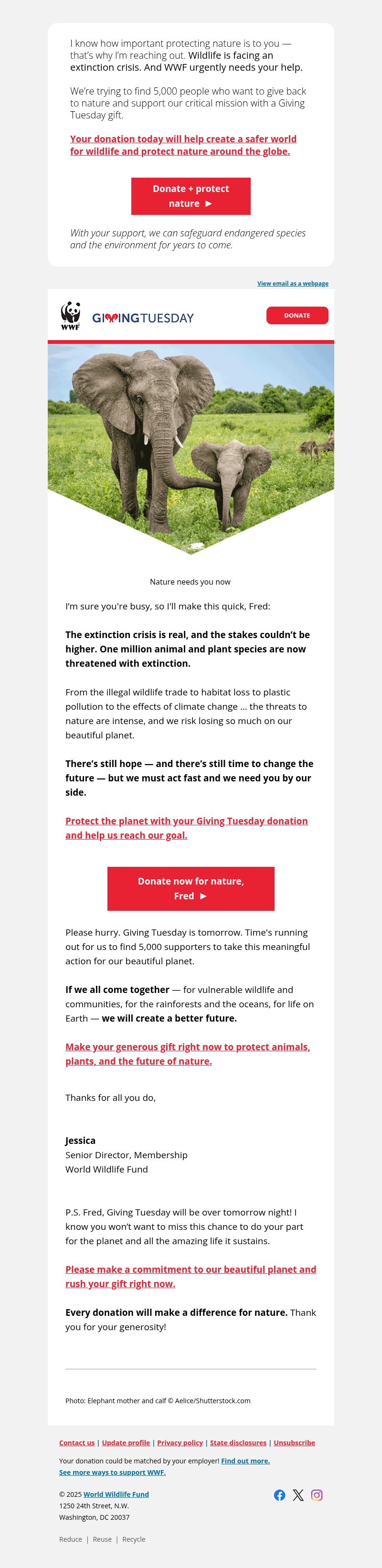 Screenshot of email with subject /media/emails/596ef921-faaf-4704-bb8d-747e96ef8806.jpg