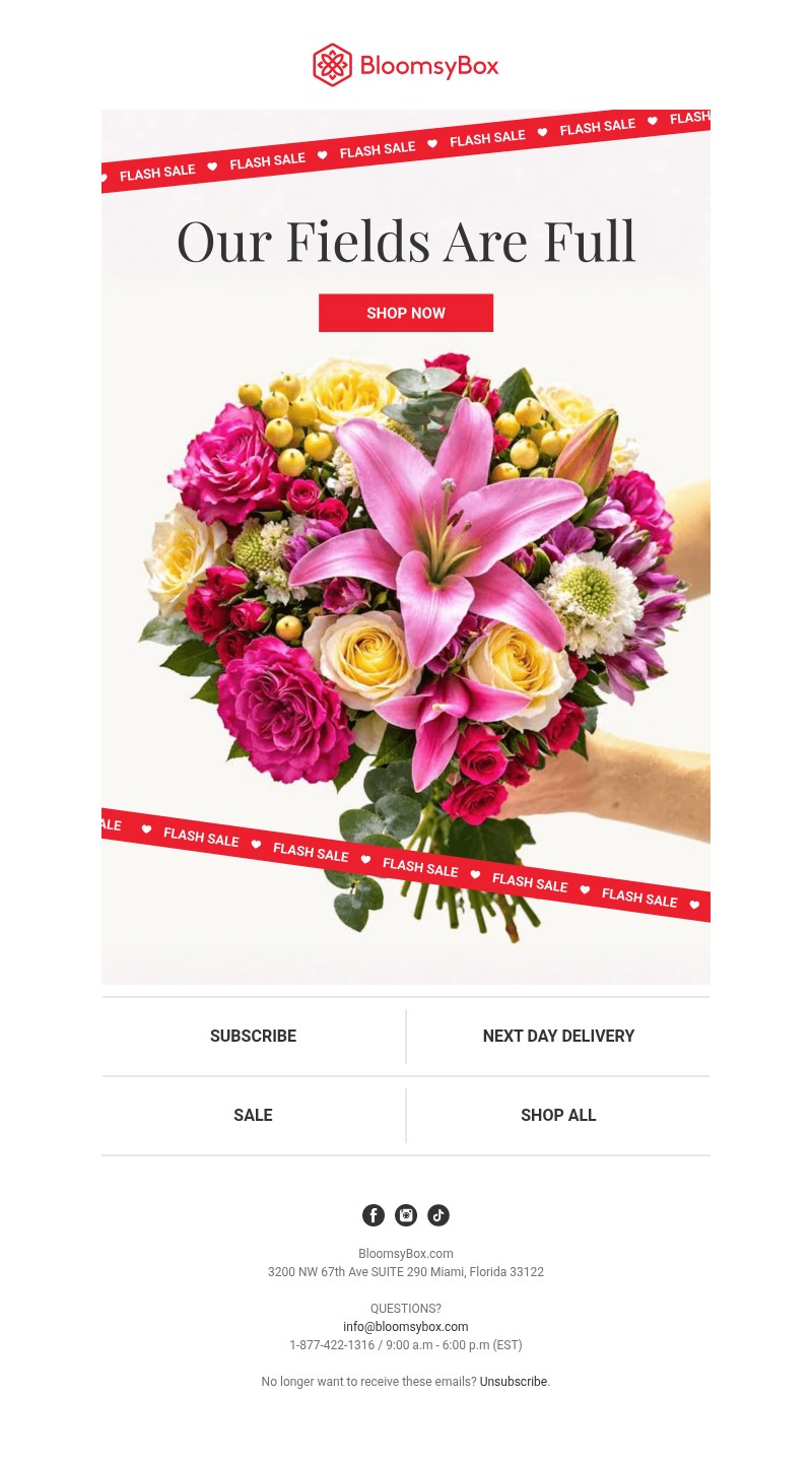 Screenshot of email with subject /media/emails/59ab5a58-b036-428f-ae9f-87d75897ec70.jpg