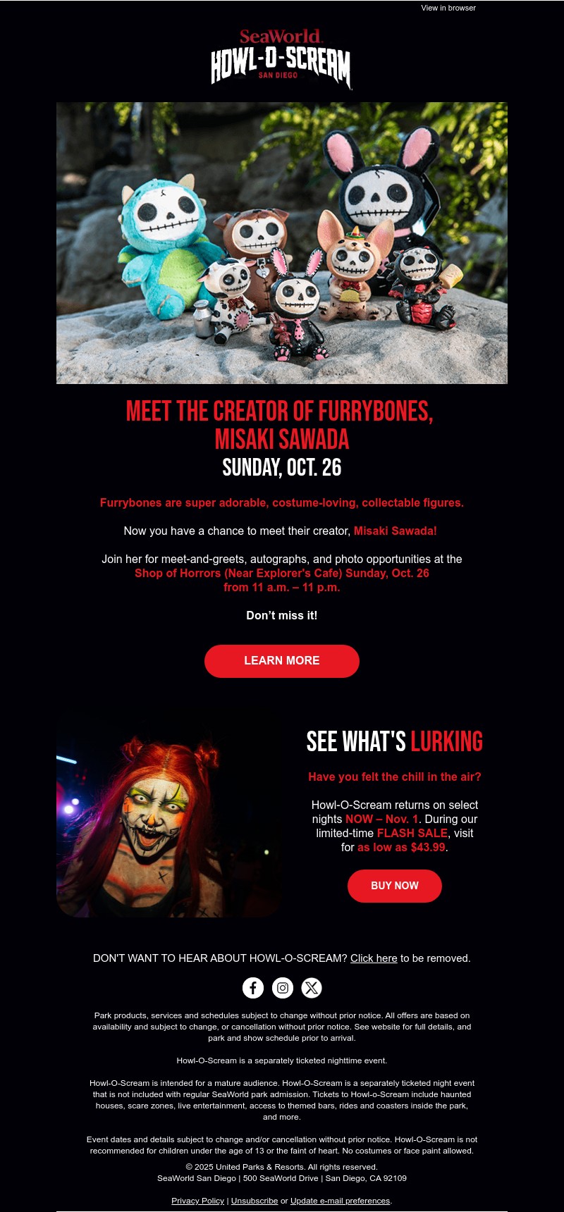 Screenshot of email with subject /media/emails/59c71ab0-4e0d-4267-a0fd-22fa19bd8b38.jpg