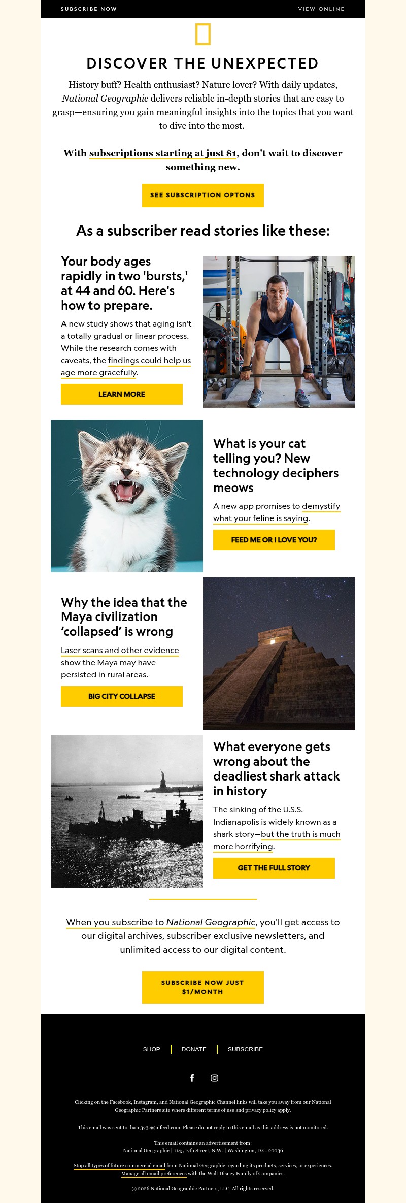 Screenshot of email with subject /media/emails/5a056c0c-ff18-41e1-8b68-a8aef8cfabae.jpg