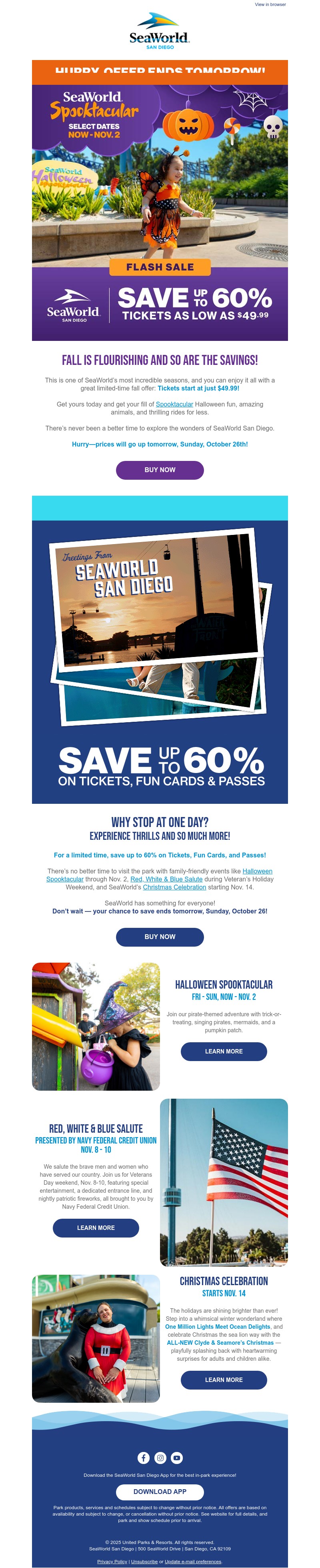 Screenshot of email with subject /media/emails/5b0dfd98-9536-4c76-9e81-57e175f6e5bb.jpg