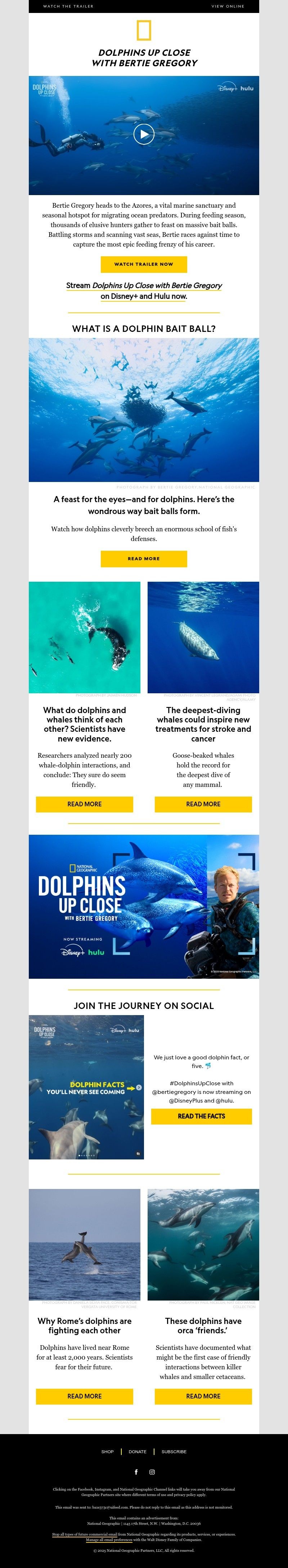 Screenshot of email with subject /media/emails/5bb6353d-a9b7-462a-823d-3af34de2d95d.jpg