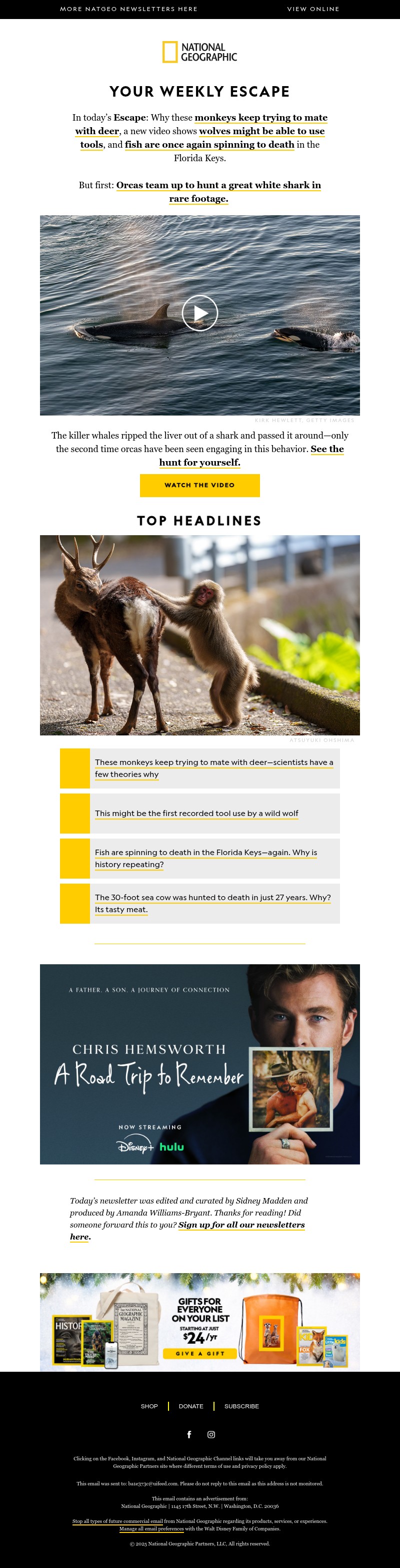 Screenshot of email with subject /media/emails/5bc48bcd-2546-4958-a266-5fe10bbcc9e3.jpg