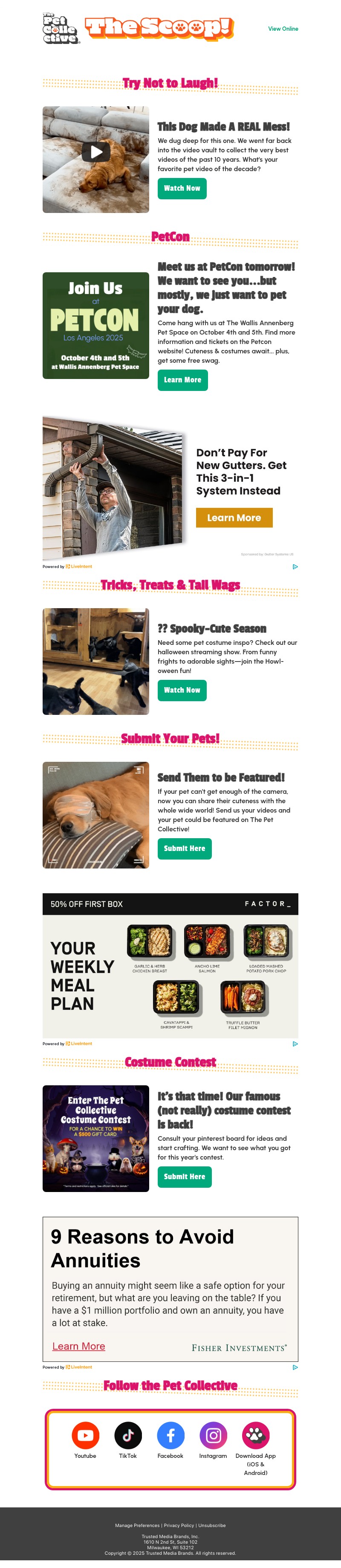 Screenshot of email with subject /media/emails/5bf65241-374f-45a3-9525-97d983e28d61.jpg