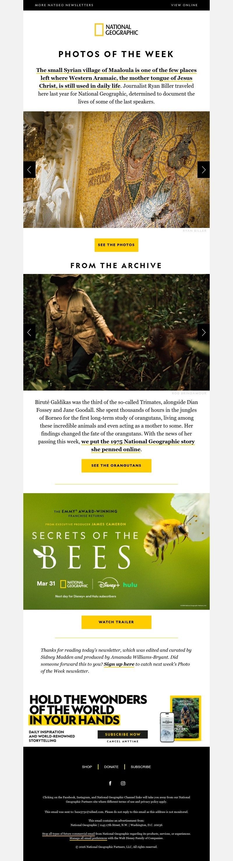 Screenshot of email with subject /media/emails/5ca52bbe-6eaa-471b-b708-64da124ab263.jpg