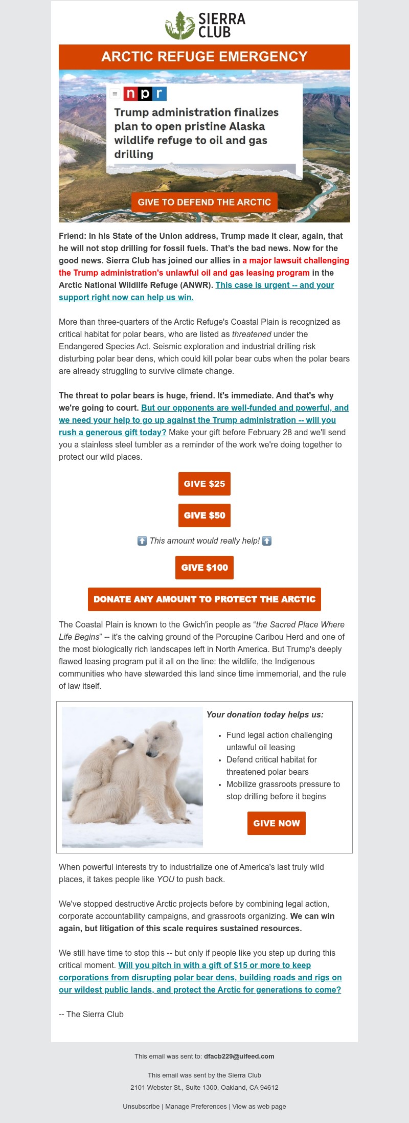 Screenshot of email with subject /media/emails/5df95ae0-3d99-4c8c-b0f8-8b4ad0d4e801.jpg