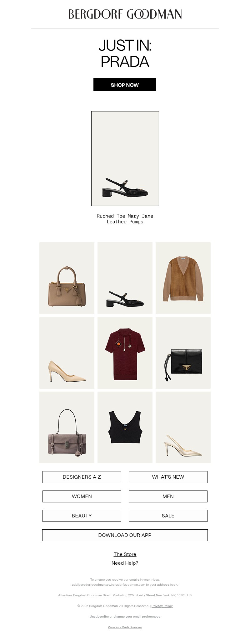 Screenshot of email with subject /media/emails/5e426787-fe39-4eab-9002-74203c957b8a.jpg