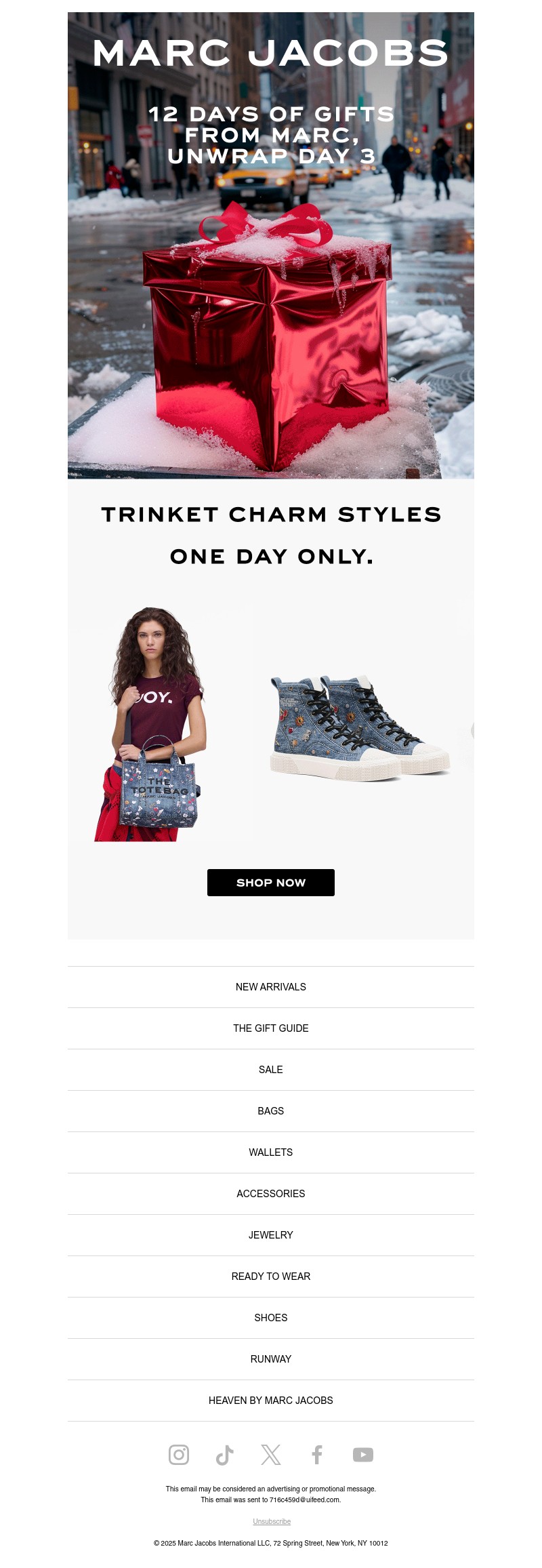 Screenshot of email with subject /media/emails/5e8838aa-f369-413e-a00e-8ea17221918e.jpg