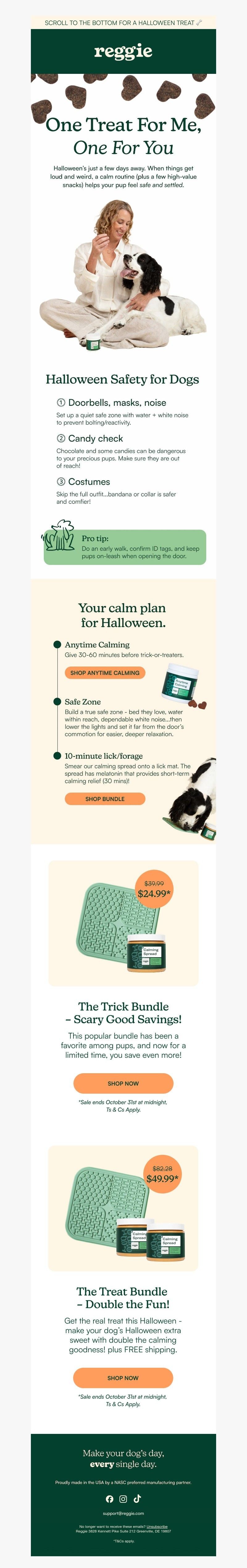 Screenshot of email with subject /media/emails/5f4dc3af-6f65-4101-9170-0efecbd595f8.jpg