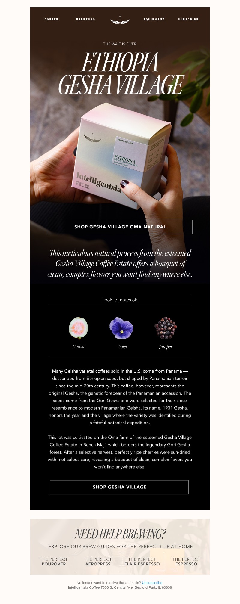 Screenshot of email with subject /media/emails/5f5e95a5-9c49-4722-b303-4876b9ea55ea.jpg