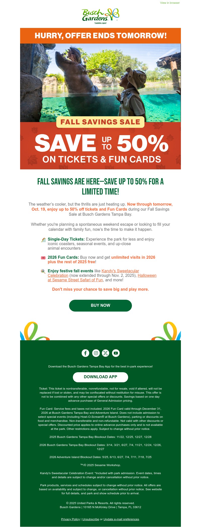 Screenshot of email with subject /media/emails/5f7fab74-20c2-4e6a-9841-218bf45dfd49.jpg