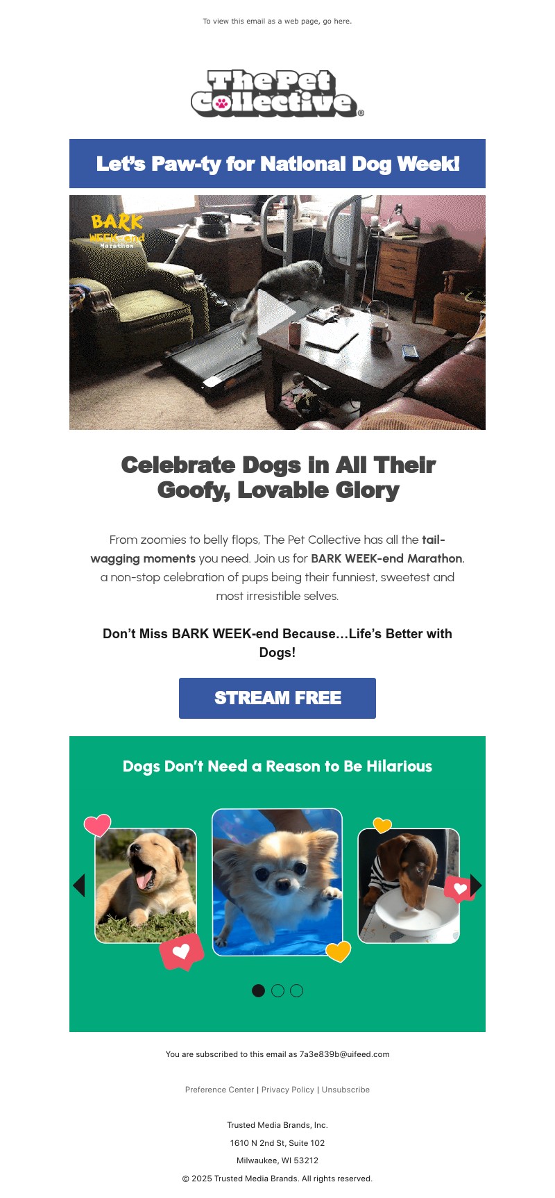 Screenshot of email with subject /media/emails/5fb35007-8e81-493e-adae-05ac8cd763fe.jpg