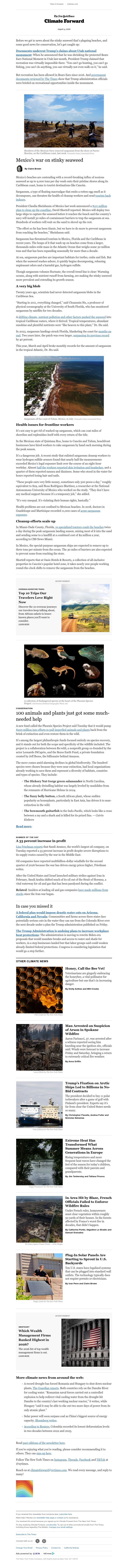 Screenshot of email with subject /media/emails/5ff0c4dd-44ad-4120-91cd-bdfe0905a7ab.jpg