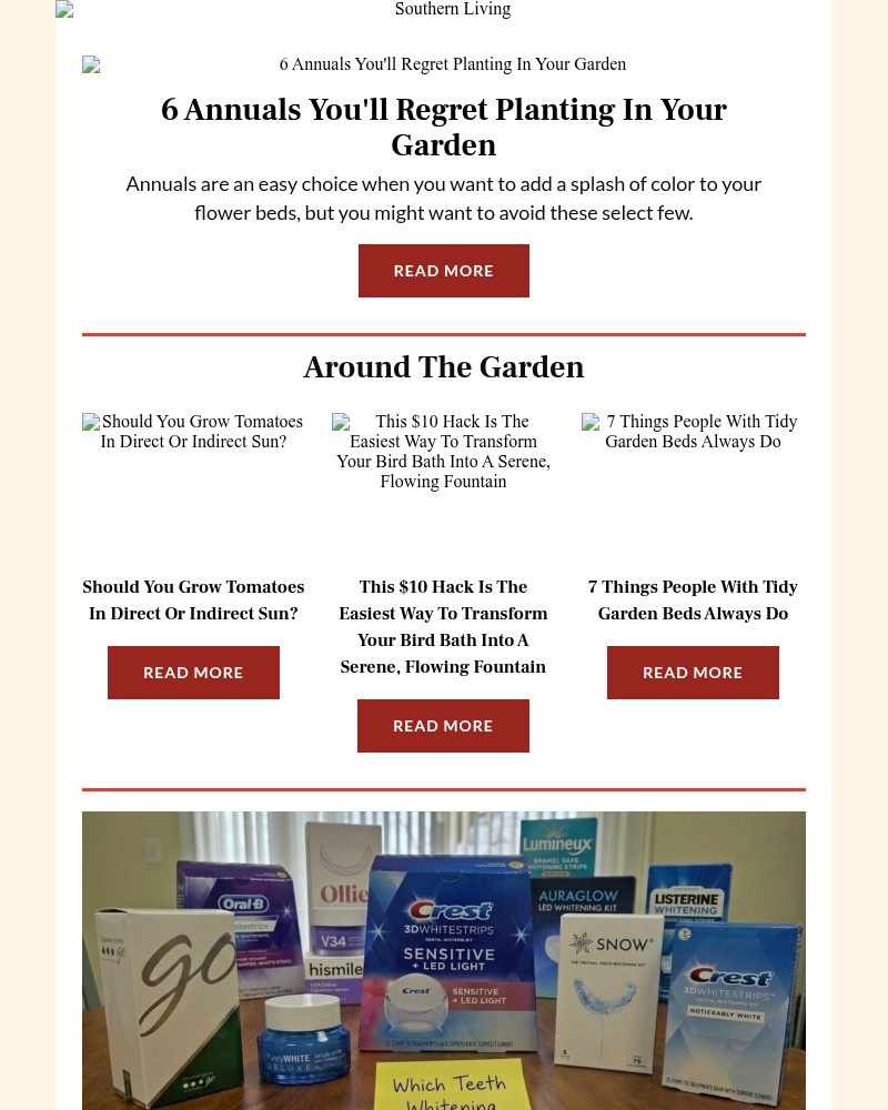 Screenshot of email with subject /media/emails/6-annuals-youll-regret-planting-in-your-garden-28a9a7-cropped-2821392d.jpg