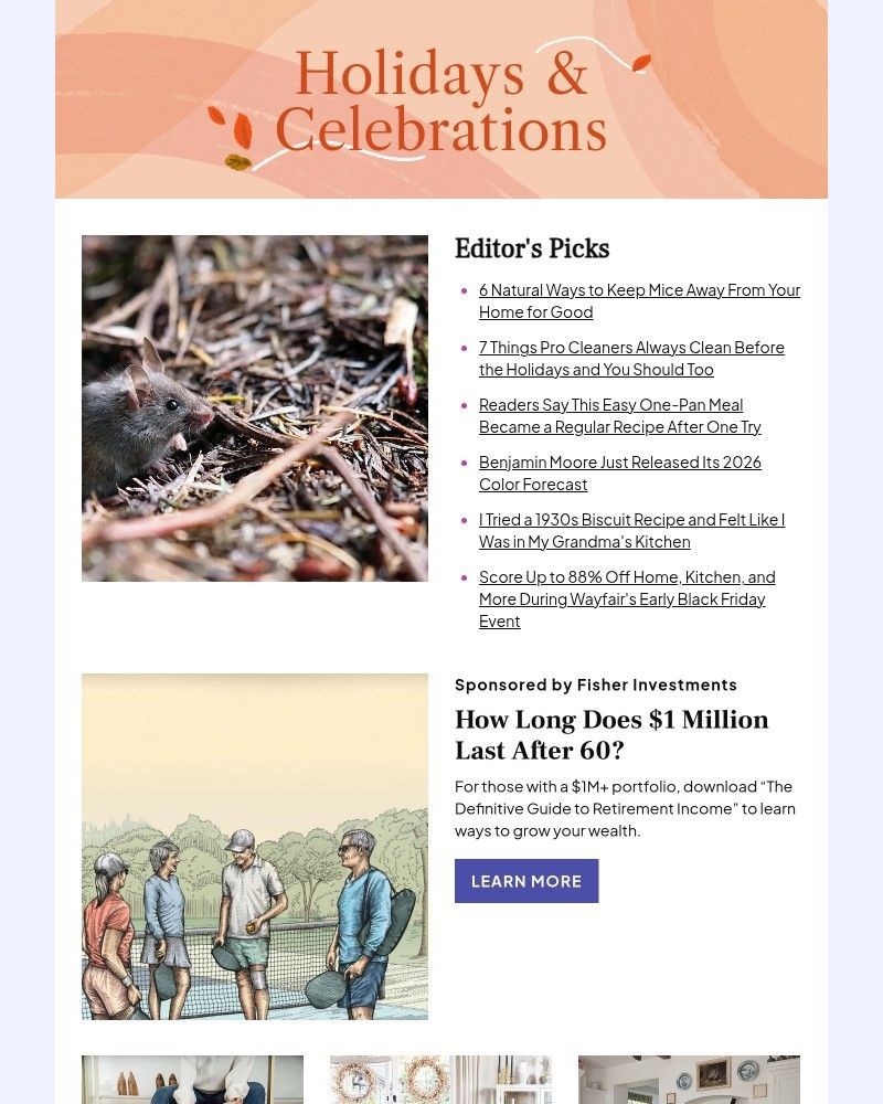 Screenshot of email with subject /media/emails/6-natural-ways-to-keep-mice-away-e9fe5e-cropped-6ee25a9a.jpg