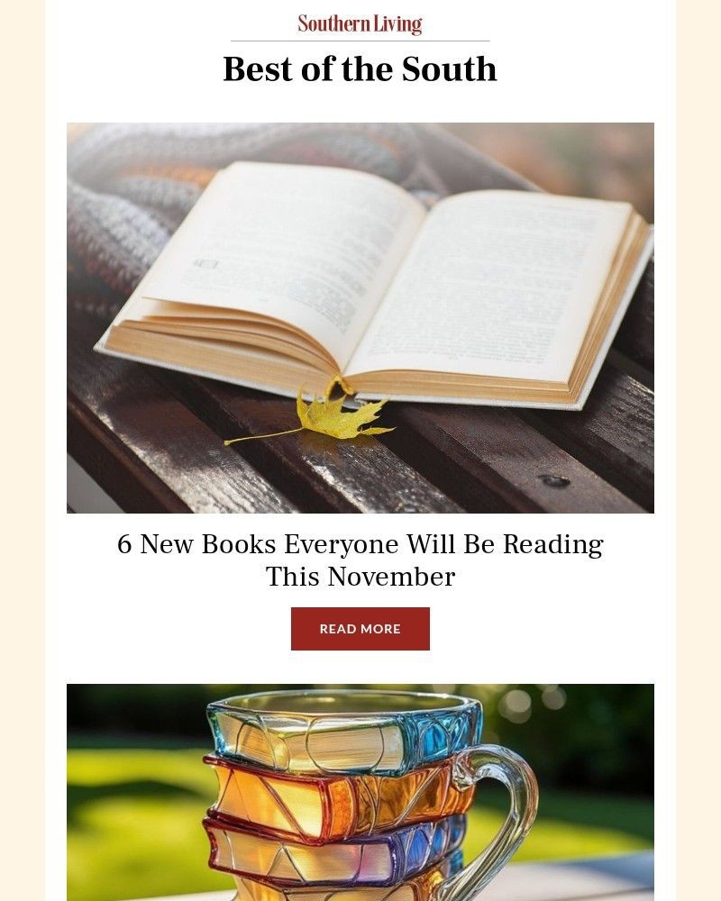 Screenshot of email with subject /media/emails/6-new-books-everyone-will-be-reading-this-november-a12e97-cropped-2681f10e.jpg