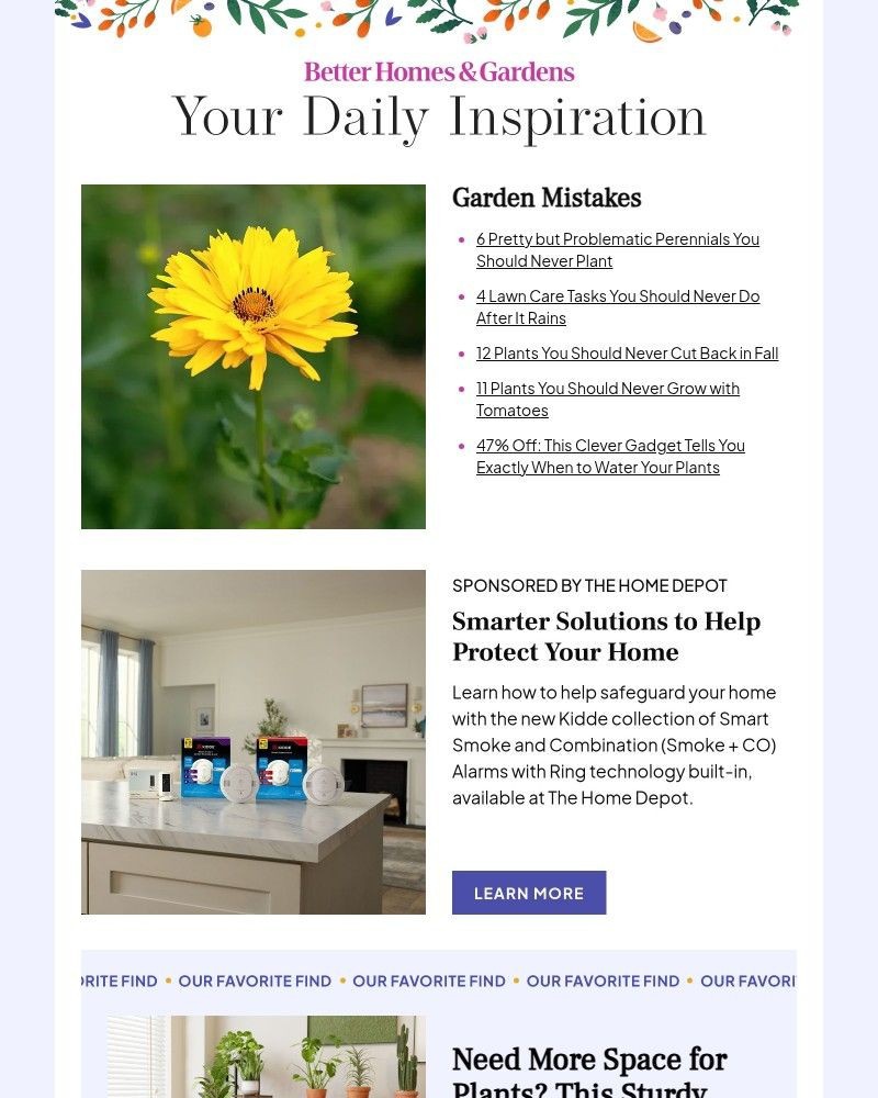 Screenshot of email with subject /media/emails/6-problematic-perennials-you-should-never-plant-e8bab1-cropped-80e1281c.jpg