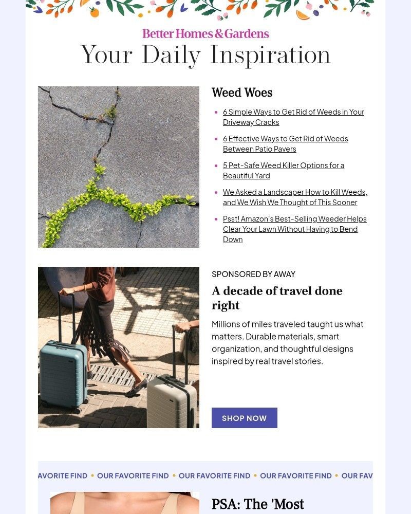 Screenshot of email with subject /media/emails/6-simple-ways-to-get-rid-of-weeds-in-your-driveway-cracks-78f1a9-cropped-84ef1e06.jpg