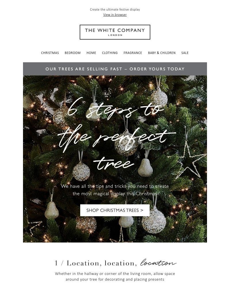 Screenshot of email with subject /media/emails/6-steps-to-the-perfect-tree-f97507-cropped-f52708b3.jpg