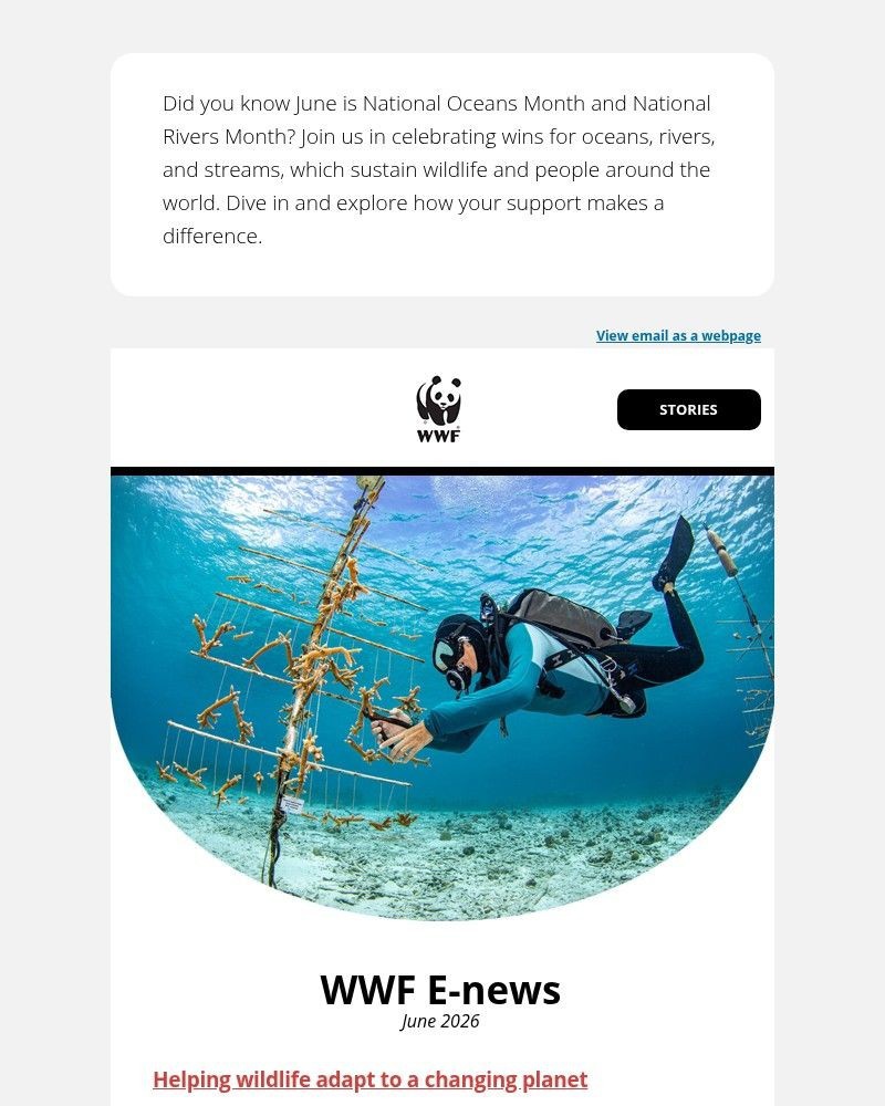 Screenshot of email sent to a World Wildlife Fund Newsletter subscriber