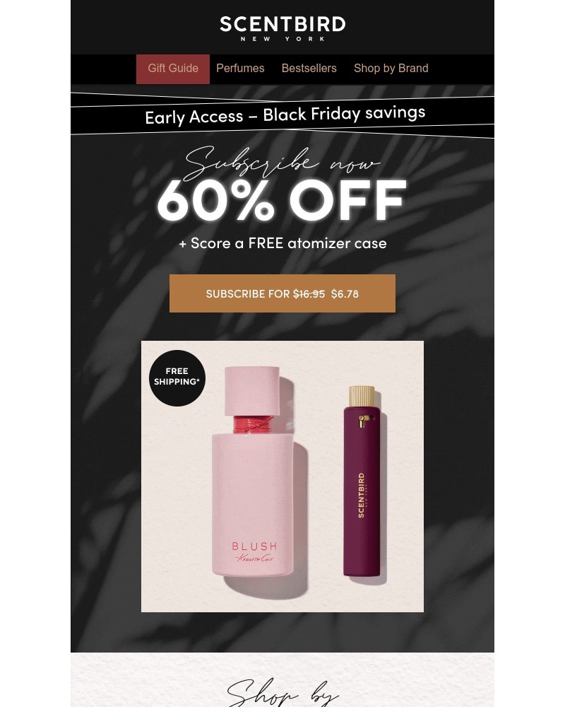 Screenshot of email with subject /media/emails/60-off-early-black-friday-sale-b559d1-cropped-a68dfdb7.jpg