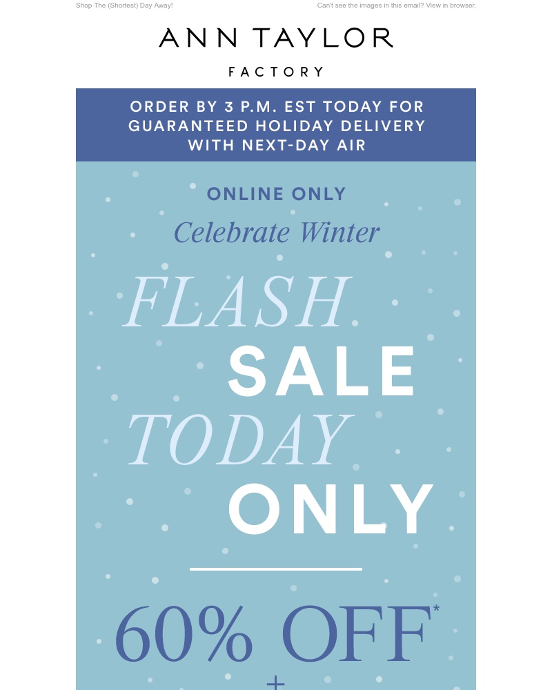 Screenshot of email with subject /media/emails/60-off-extra-15-off-flash-sale-cropped-667b1eeb.jpg
