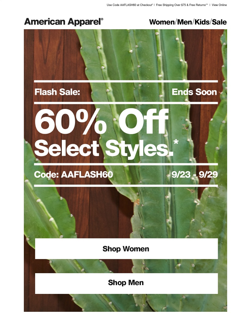 Screenshot of email with subject /media/emails/60-off-sale-ends-soon-1-cropped-712a8362.jpg