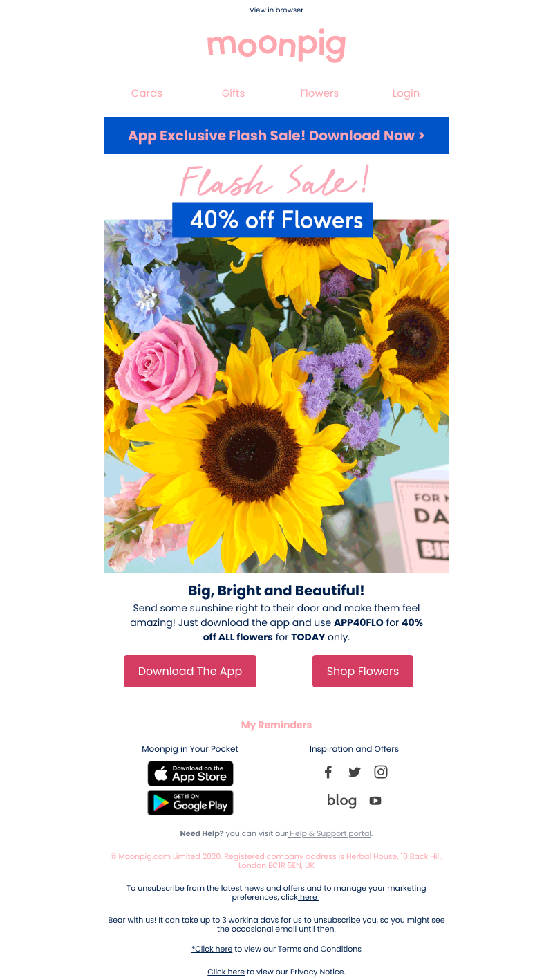 Screenshot of email with subject /media/emails/6001f949-9d81-4724-b44d-e51fb489e83d.png