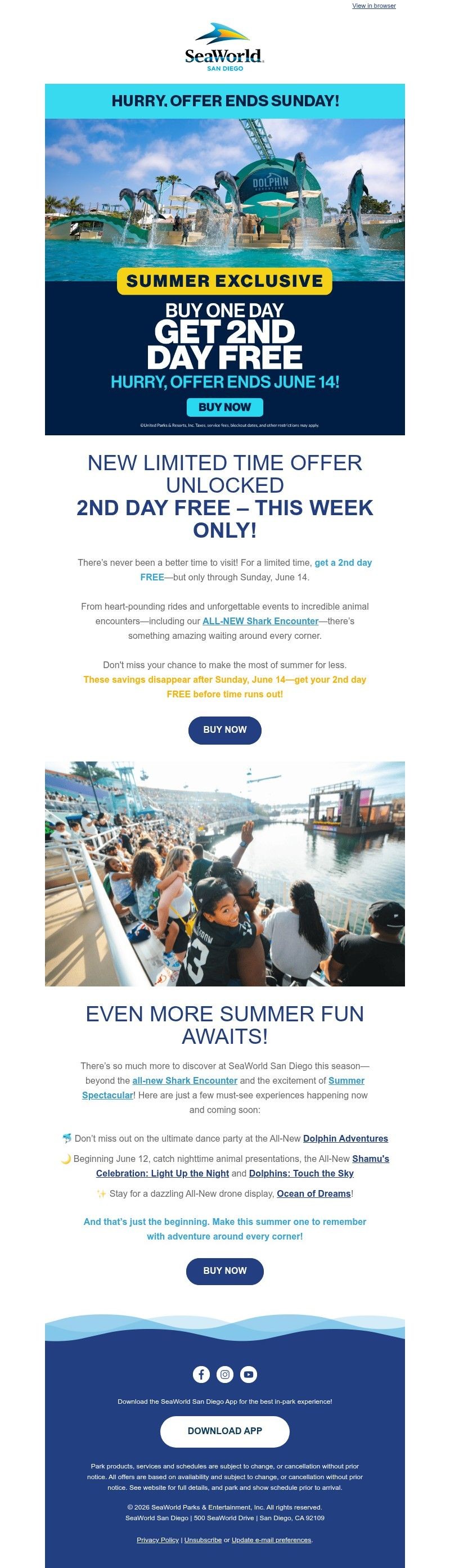 Screenshot of email with subject /media/emails/60bd1d1a-f433-46df-aed3-143f92da28ac.jpg
