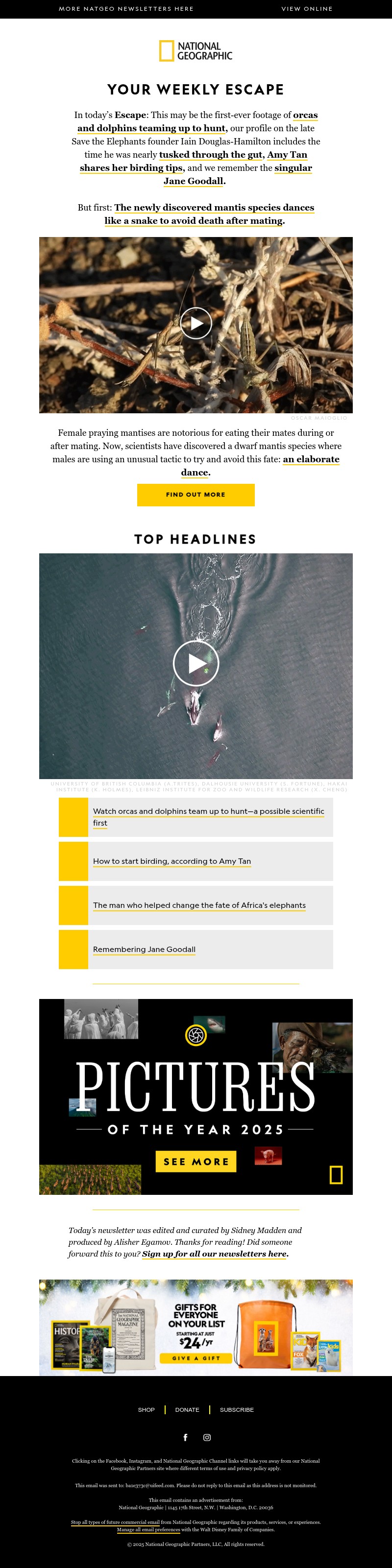 Screenshot of email with subject /media/emails/61479ac5-0420-49f4-ad2b-63ff0238d980.jpg