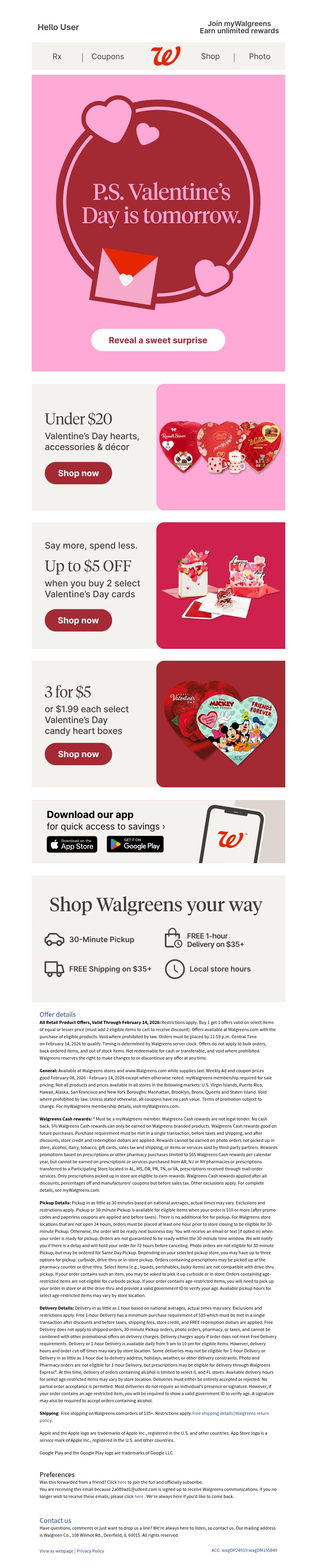 Screenshot of email with subject /media/emails/614d3b08-4311-4e95-b218-81d83f9fdc34.jpg
