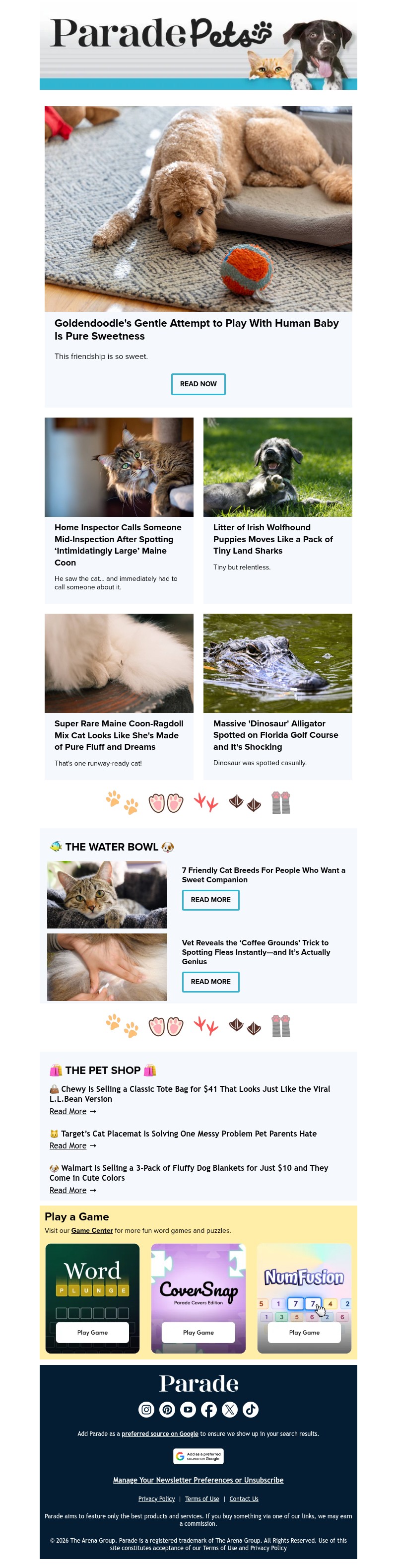 Screenshot of email with subject /media/emails/61958de2-2e4a-4e14-b210-773be04af9ae.jpg