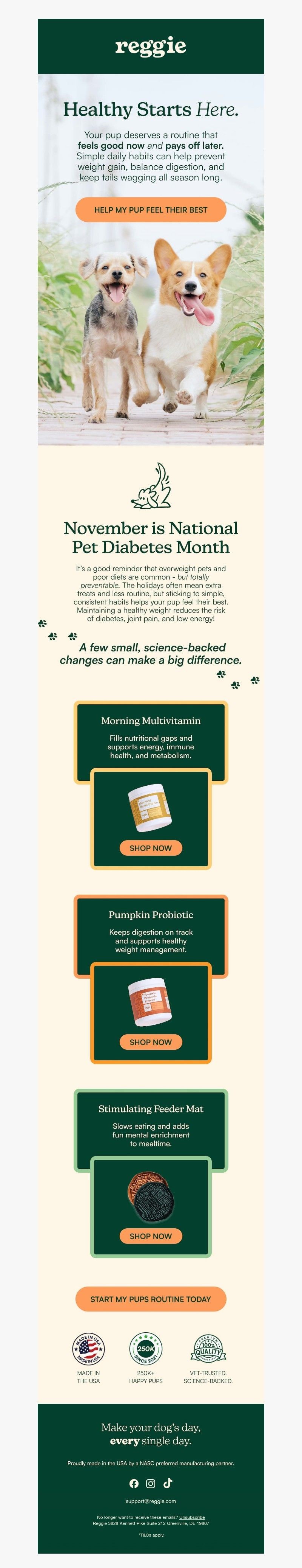 Screenshot of email with subject /media/emails/61a0b90b-93de-49d8-8e79-67d14b7852ad.jpg