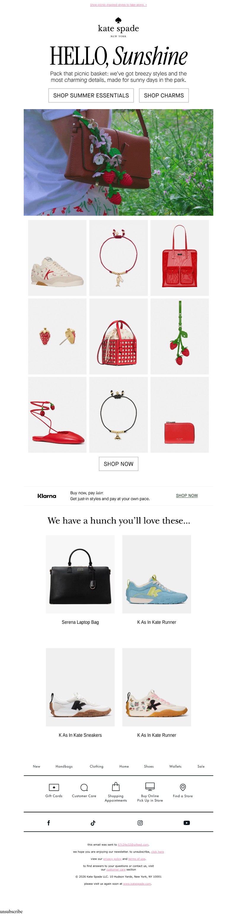 Screenshot of email with subject /media/emails/61aeefdf-7e4a-4179-bd90-cc89872969df.jpg