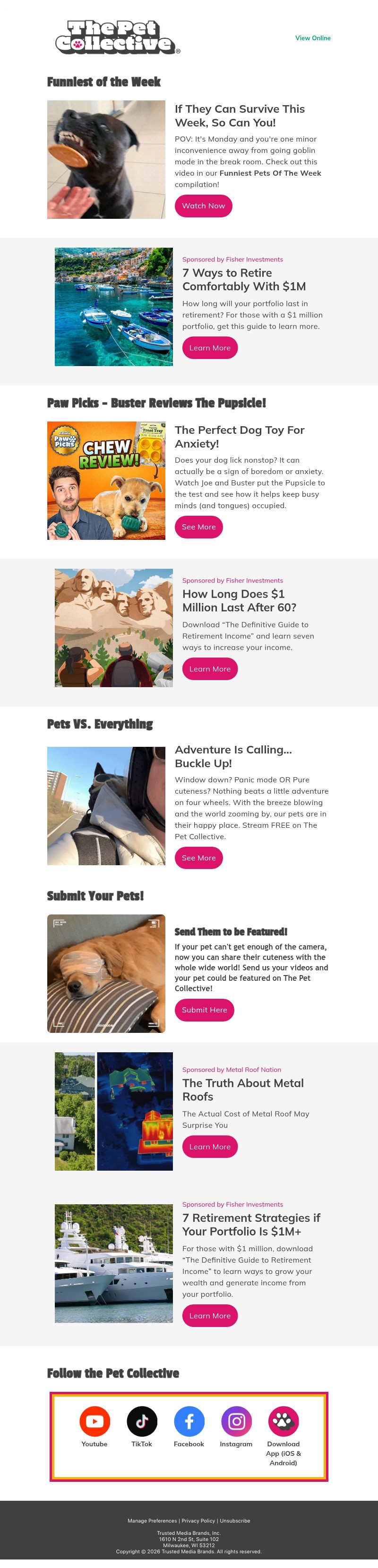 Screenshot of email with subject /media/emails/61f048e7-3f03-4d76-9535-4f1aed68d0f5.jpg