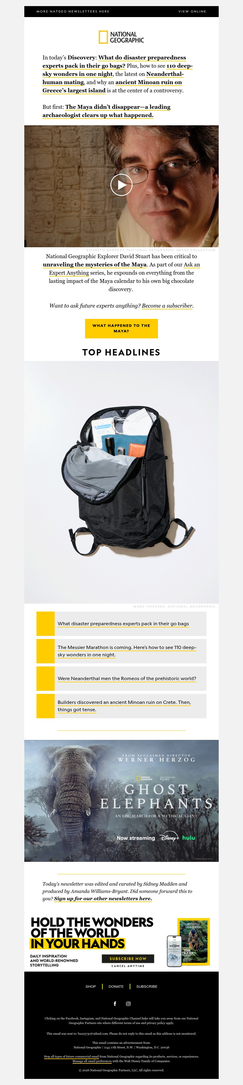 Screenshot of email with subject /media/emails/62000041-1ade-42b3-b4a1-7a4a9c88db66.jpg