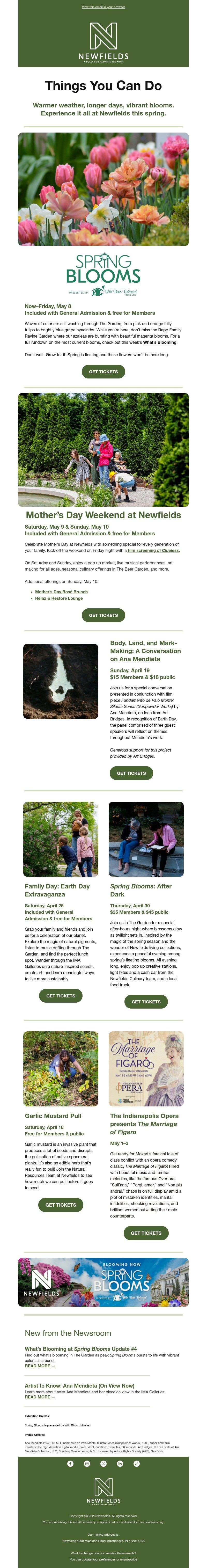 Screenshot of email with subject /media/emails/624cf236-caa5-4ad5-bff5-c6eabb1afb57.jpg