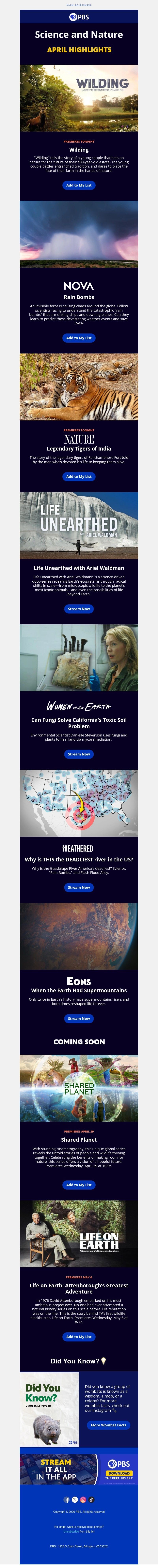 Screenshot of email with subject /media/emails/625b065e-130a-4a19-a762-37f22be53828.jpg