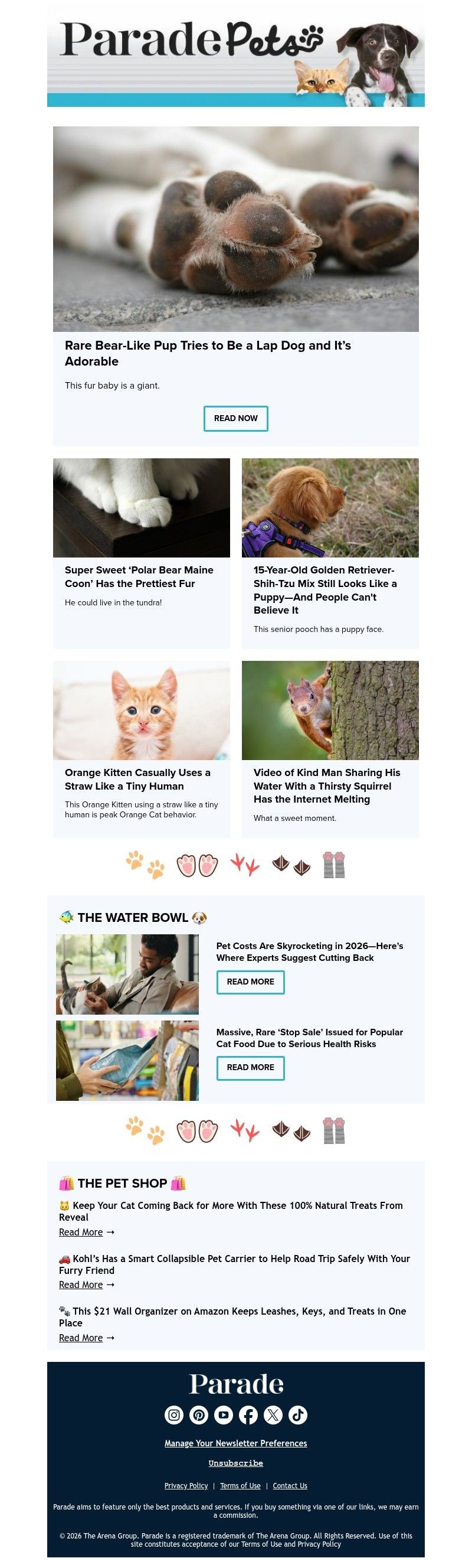 Screenshot of email with subject /media/emails/629899c3-b7f4-42bd-8908-70f5679aee18.jpg