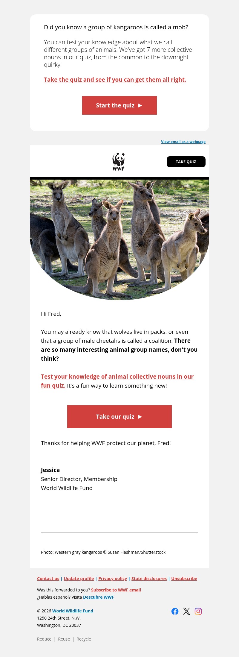 Screenshot of email with subject /media/emails/62b11156-5408-47d8-9ea4-d3904877f6f0.jpg