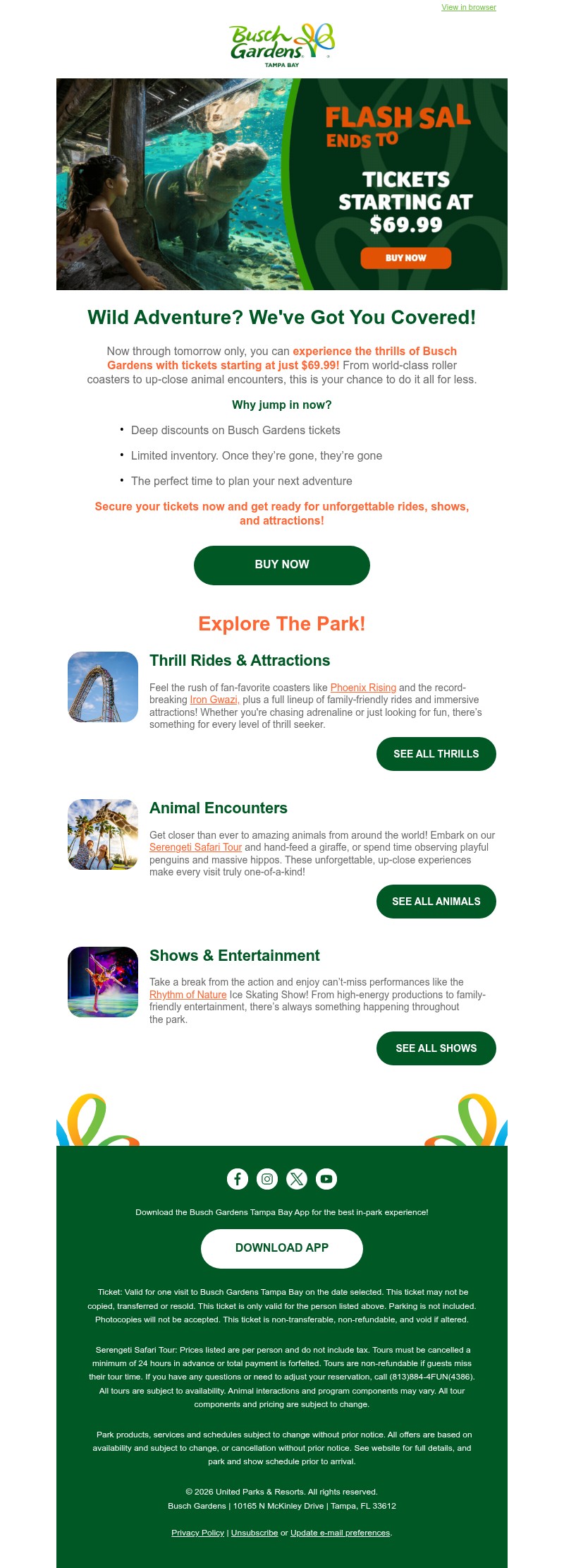 Screenshot of email with subject /media/emails/62db5442-7e92-4b8b-99d9-ae5ee33be329.jpg